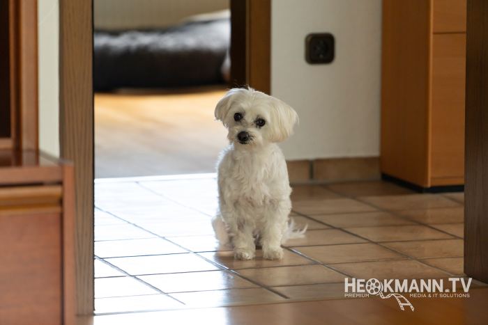 Malou – Foto 7
